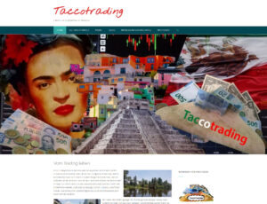 Taccotrading - Leben und Arbeiten in Mexiko
