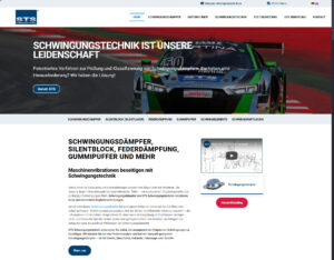 Schwingungsdämpfer STS Schwingungstechnik