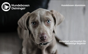 Hundeboxen aus Aluminium von Tiergehegebau Ostalb